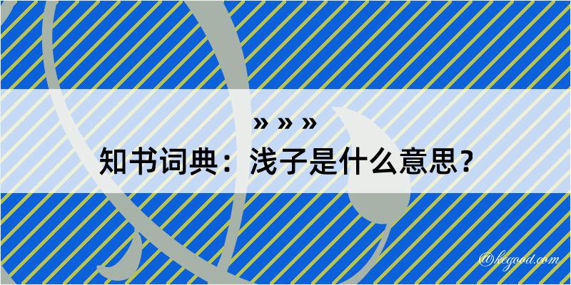 知书词典：浅子是什么意思？