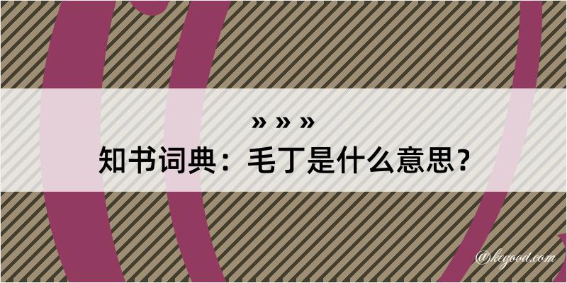 知书词典：毛丁是什么意思？