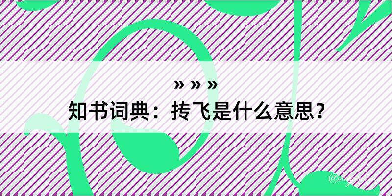 知书词典：抟飞是什么意思？