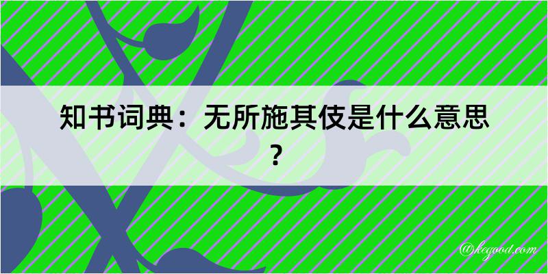 知书词典：无所施其伎是什么意思？