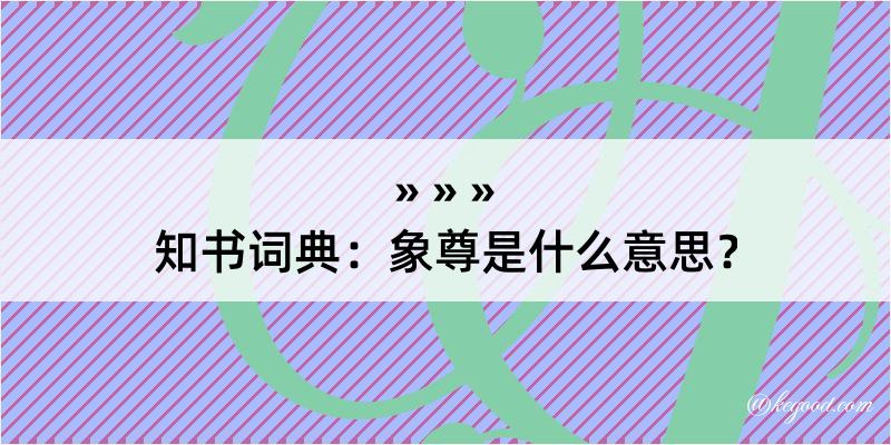 知书词典：象尊是什么意思？