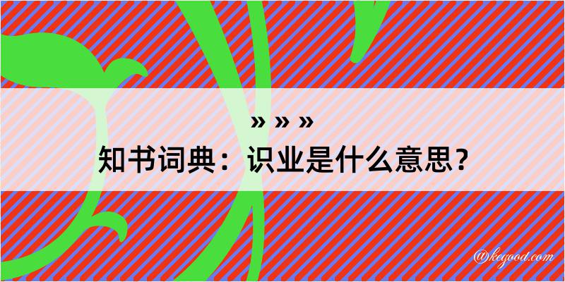 知书词典：识业是什么意思？