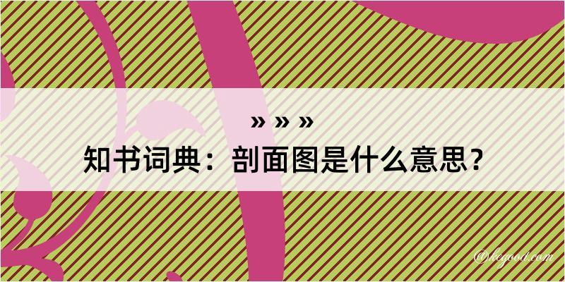 知书词典：剖面图是什么意思？