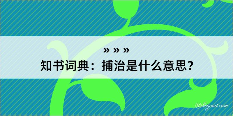 知书词典：捕治是什么意思？