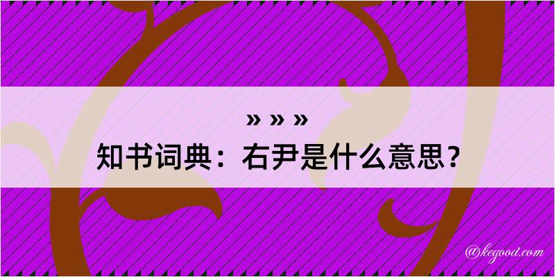 知书词典：右尹是什么意思？