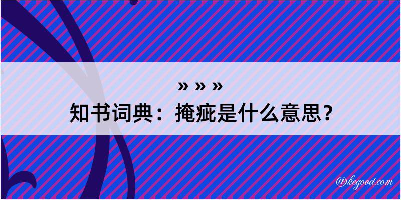 知书词典：掩疵是什么意思？