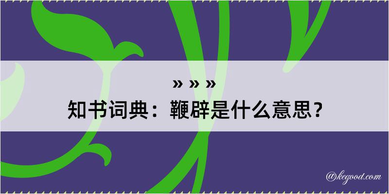 知书词典：鞭辟是什么意思？