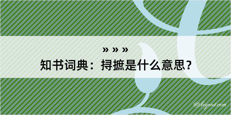 知书词典：挦摭是什么意思？