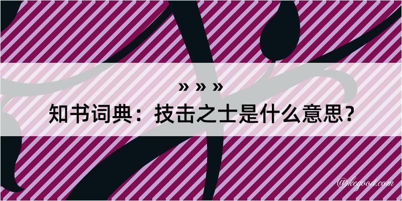 知书词典：技击之士是什么意思？