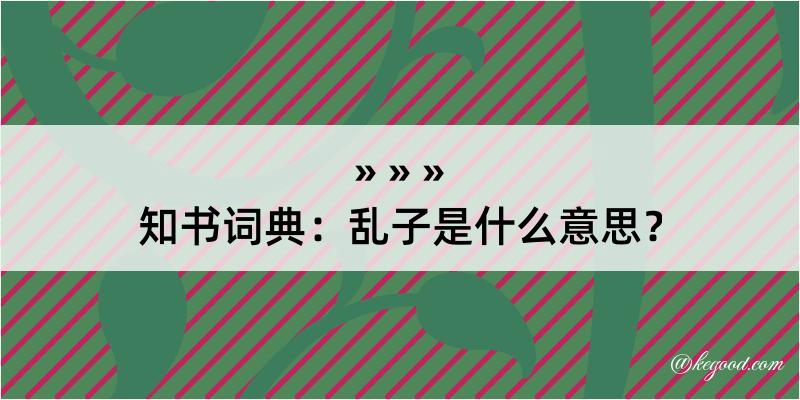 知书词典：乱子是什么意思？