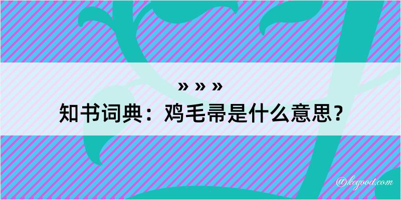 知书词典：鸡毛帚是什么意思？