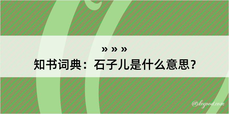 知书词典：石子儿是什么意思？