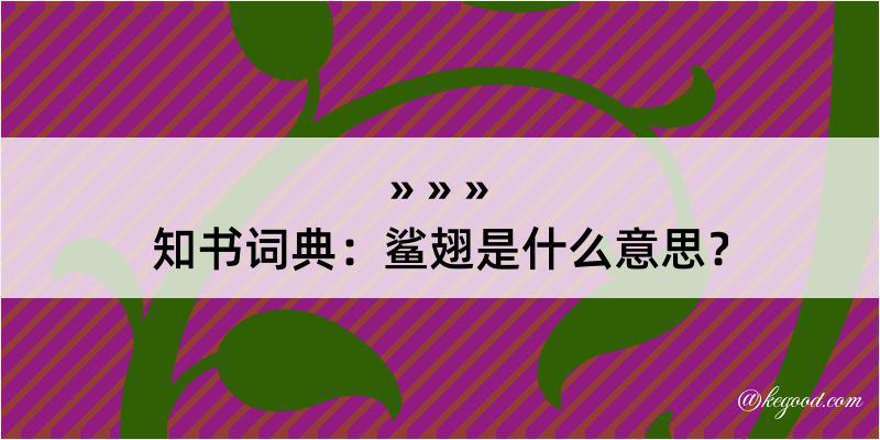 知书词典：鲨翅是什么意思？