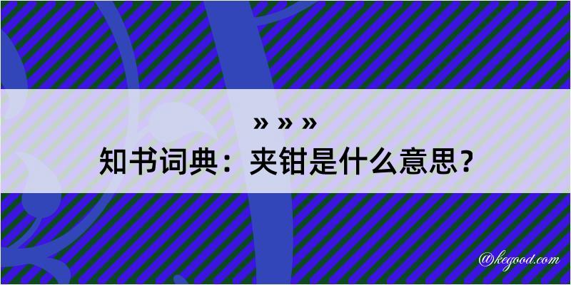 知书词典：夹钳是什么意思？