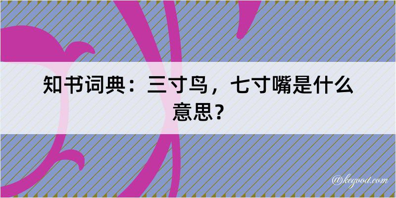 知书词典：三寸鸟，七寸嘴是什么意思？