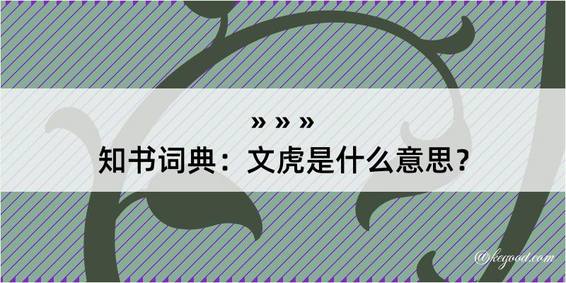 知书词典：文虎是什么意思？