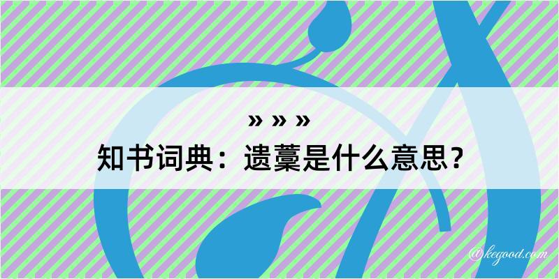 知书词典：遗藳是什么意思？