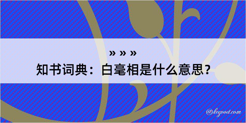 知书词典：白毫相是什么意思？