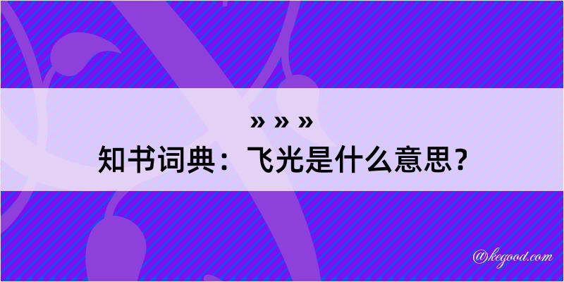 知书词典：飞光是什么意思？