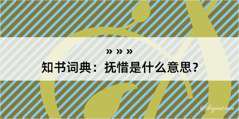 知书词典：抚惜是什么意思？