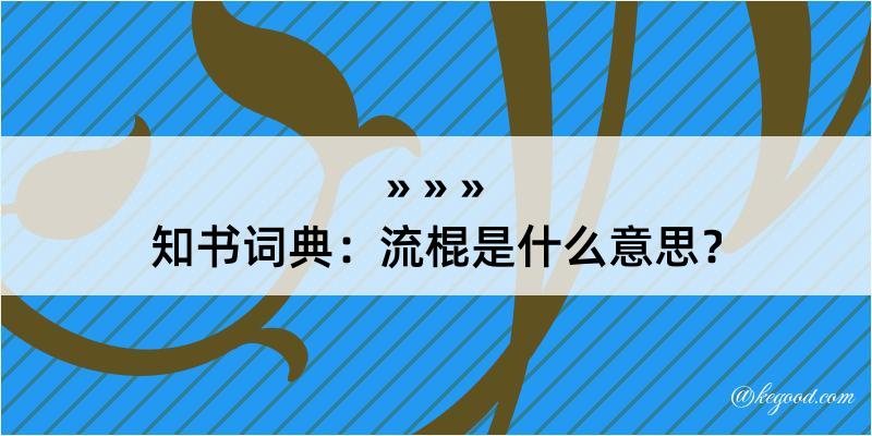 知书词典：流棍是什么意思？