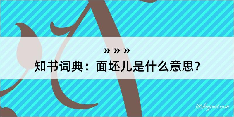 知书词典：面坯儿是什么意思？