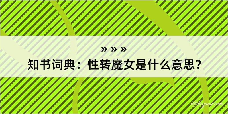 知书词典：性转魔女是什么意思？