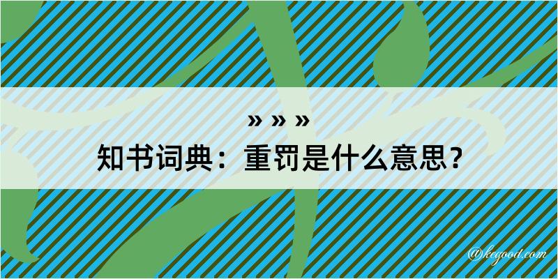 知书词典：重罚是什么意思？