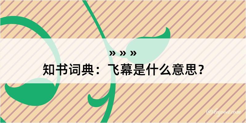 知书词典：飞幕是什么意思？