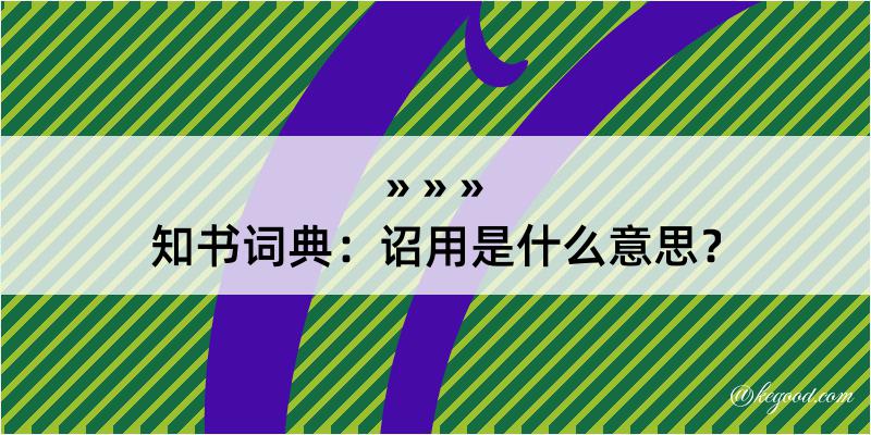 知书词典：诏用是什么意思？