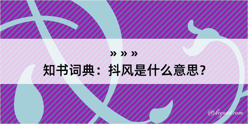 知书词典：抖风是什么意思？