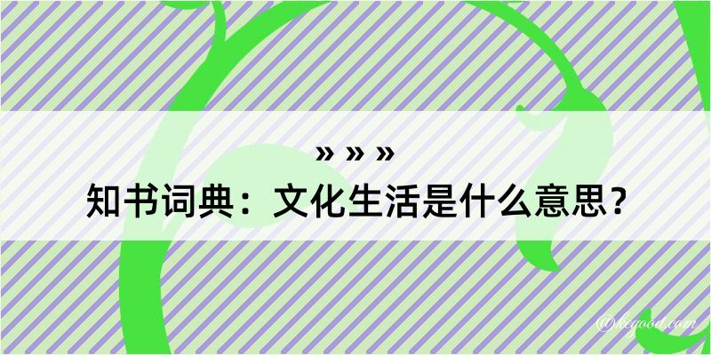 知书词典：文化生活是什么意思？