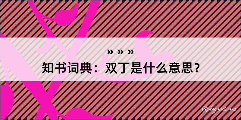 知书词典：双丁是什么意思？