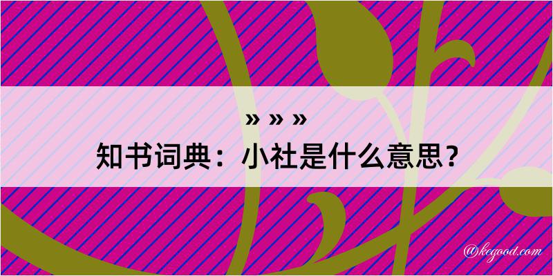 知书词典：小社是什么意思？