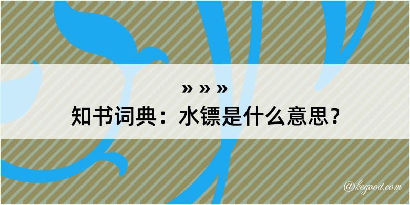 知书词典：水镖是什么意思？