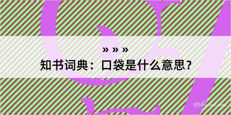 知书词典：口袋是什么意思？