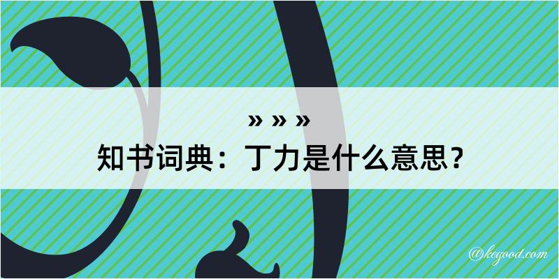 知书词典：丁力是什么意思？