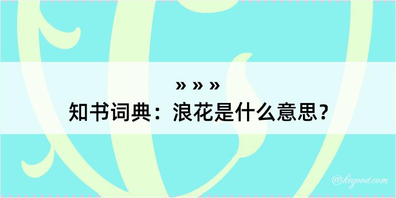 知书词典：浪花是什么意思？