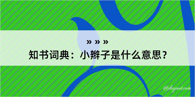 知书词典：小辫子是什么意思？