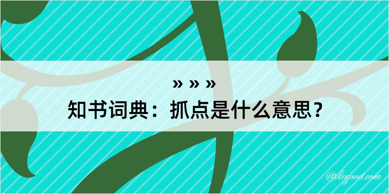 知书词典：抓点是什么意思？