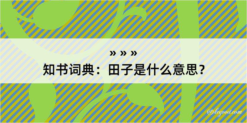 知书词典：田子是什么意思？