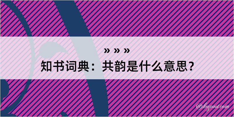 知书词典：共韵是什么意思？