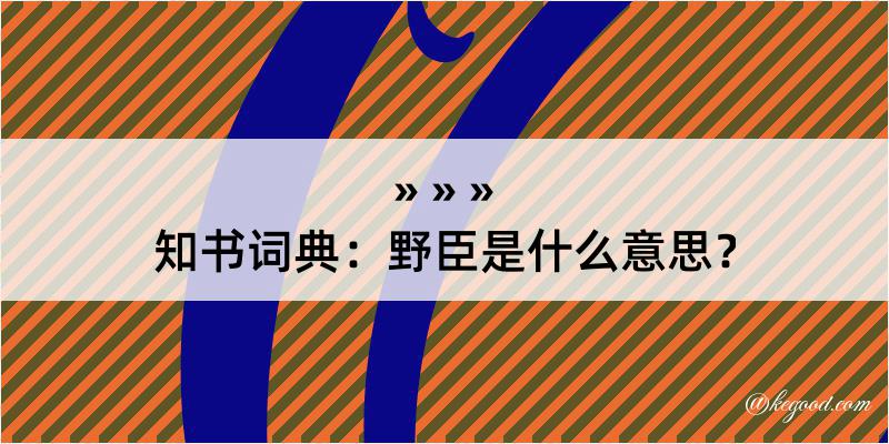 知书词典：野臣是什么意思？