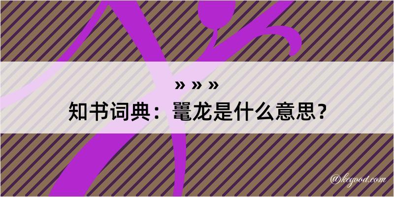 知书词典：鼍龙是什么意思？