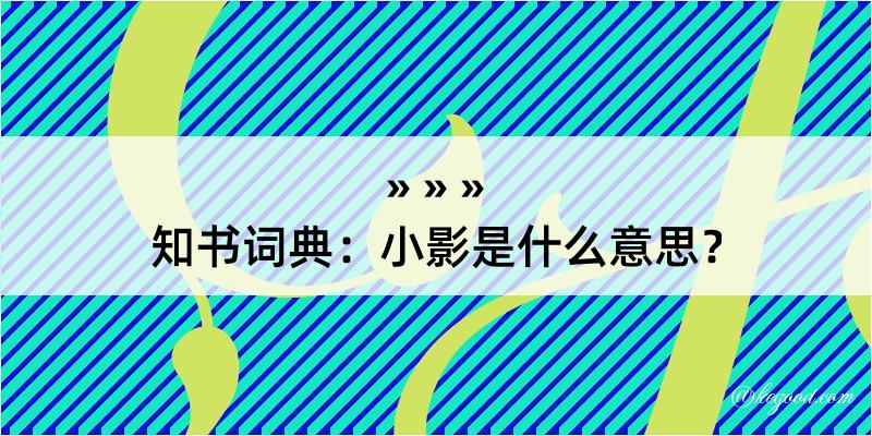 知书词典：小影是什么意思？