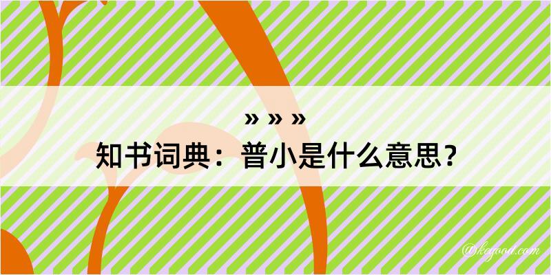 知书词典：普小是什么意思？