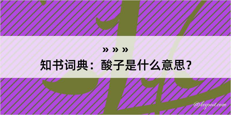 知书词典：酸子是什么意思？