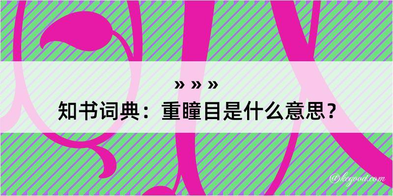 知书词典：重瞳目是什么意思？