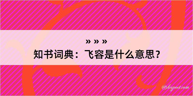 知书词典：飞容是什么意思？