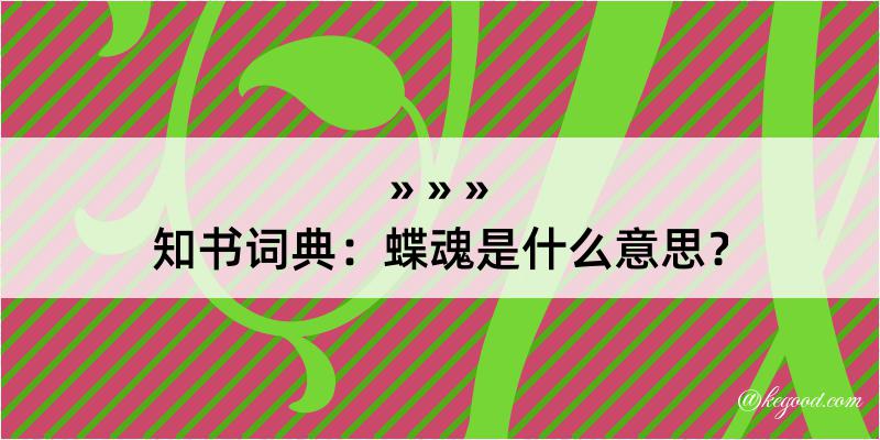 知书词典：蝶魂是什么意思？